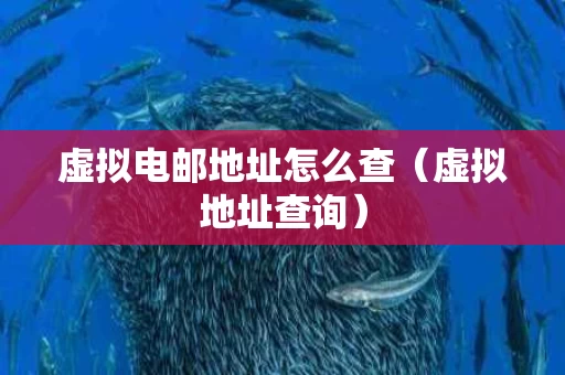 虚拟电邮地址怎么查（虚拟地址查询）