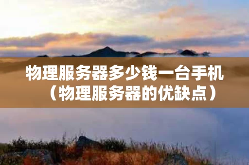 物理服务器多少钱一台手机（物理服务器的优缺点）