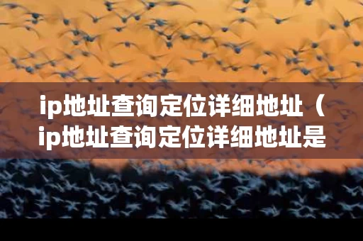 ip地址查询定位详细地址（ip地址查询定位详细地址是什么）