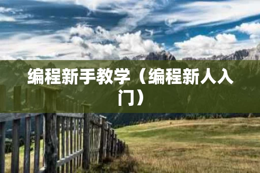 编程新手教学（编程新人入门）