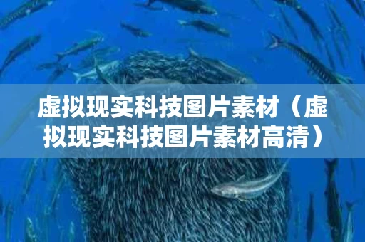 虚拟现实科技图片素材（虚拟现实科技图片素材高清）
