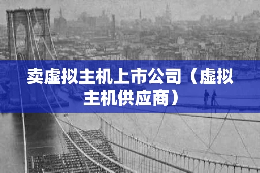 卖虚拟主机上市公司（虚拟主机供应商）