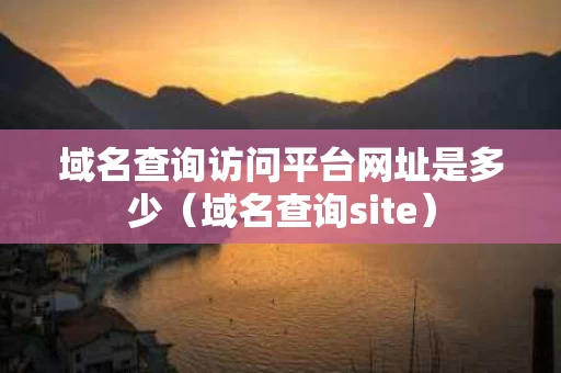 域名查询访问平台网址是多少（域名查询site）