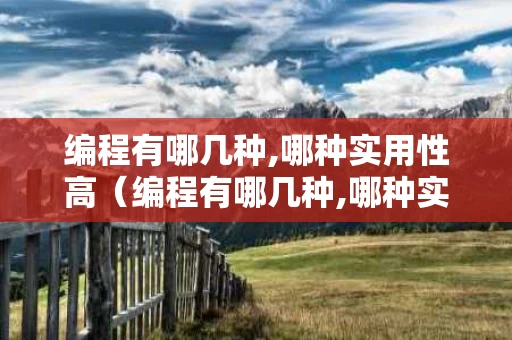 编程有哪几种,哪种实用性高（编程有哪几种,哪种实用性高）