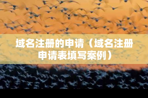 域名注册的申请（域名注册申请表填写案例）