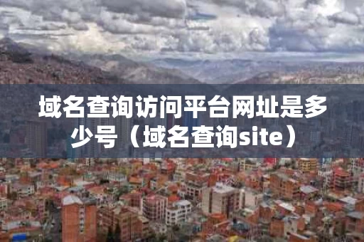 域名查询访问平台网址是多少号（域名查询site）