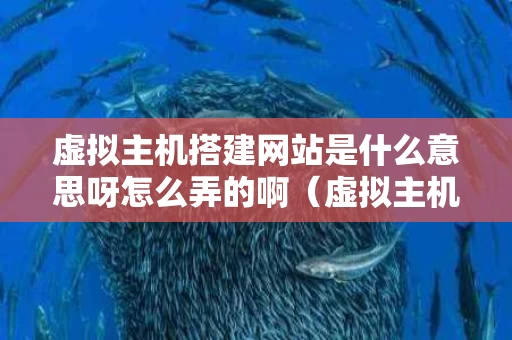 虚拟主机搭建网站是什么意思呀怎么弄的啊（虚拟主机部署网站）