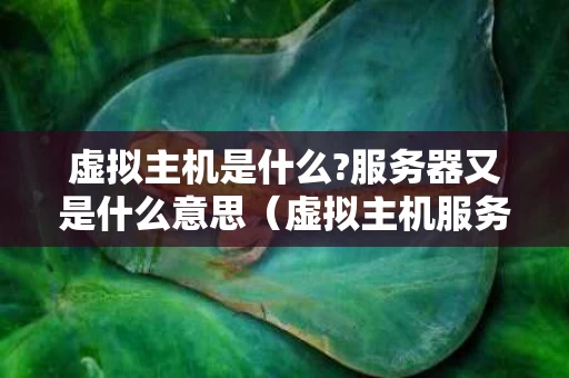 虚拟主机是什么?服务器又是什么意思（虚拟主机服务商介绍）