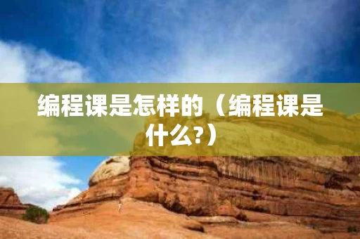 编程课是怎样的（编程课是什么?）