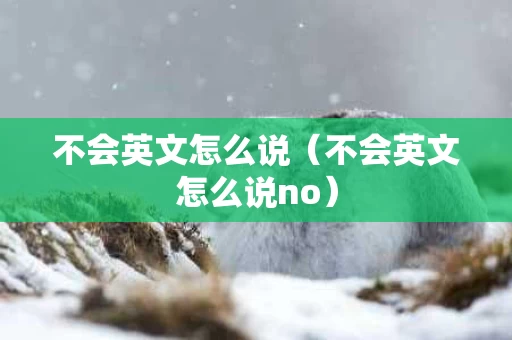 不会英文怎么说（不会英文怎么说no）