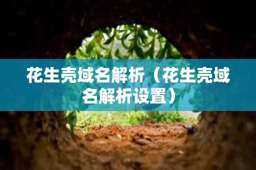 花生壳域名解析（花生壳域名解析设置）