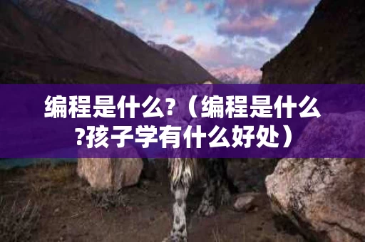 编程是什么?（编程是什么?孩子学有什么好处）