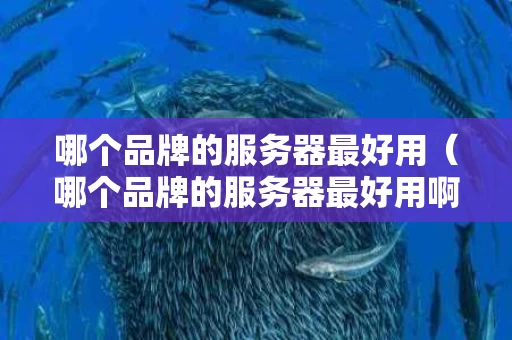 哪个品牌的服务器最好用（哪个品牌的服务器最好用啊）