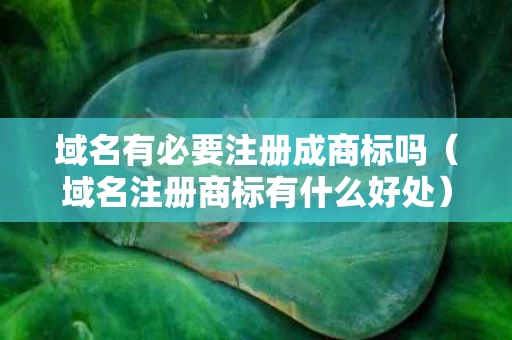 域名有必要注册成商标吗（域名注册商标有什么好处）