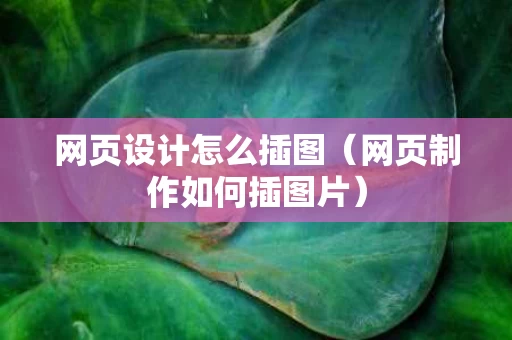网页设计怎么插图（网页制作如何插图片）