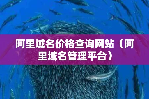 阿里域名价格查询网站（阿里域名管理平台）