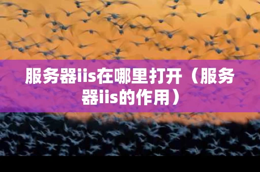 服务器iis在哪里打开（服务器iis的作用）