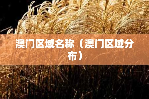 澳门区域名称（澳门区域分布）