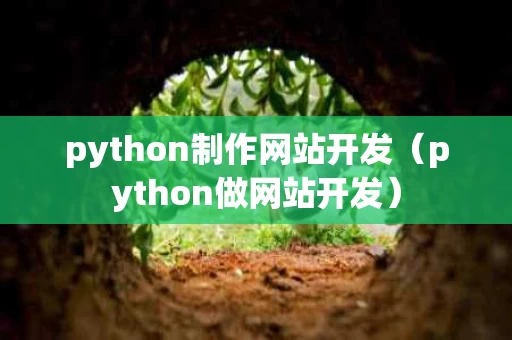python制作网站开发（python做网站开发）