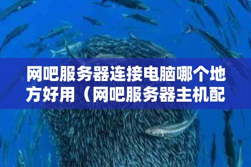 网吧服务器连接电脑哪个地方好用（网吧服务器主机配置）