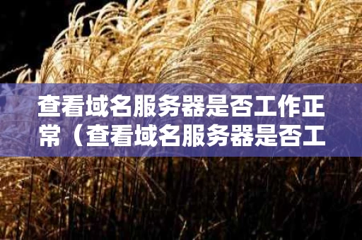 查看域名服务器是否工作正常（查看域名服务器是否工作正常怎么查）