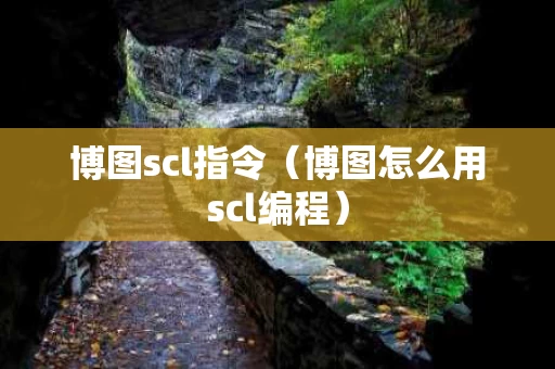 博图scl指令（博图怎么用scl编程）
