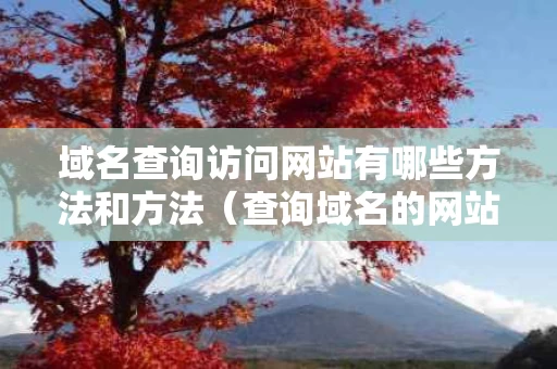 域名查询访问网站有哪些方法和方法（查询域名的网站）