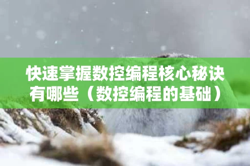 快速掌握数控编程核心秘诀有哪些（数控编程的基础）