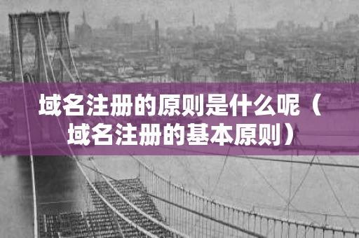 域名注册的原则是什么呢（域名注册的基本原则）