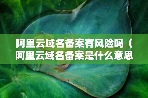 阿里云域名备案有风险吗（阿里云域名备案是什么意思）