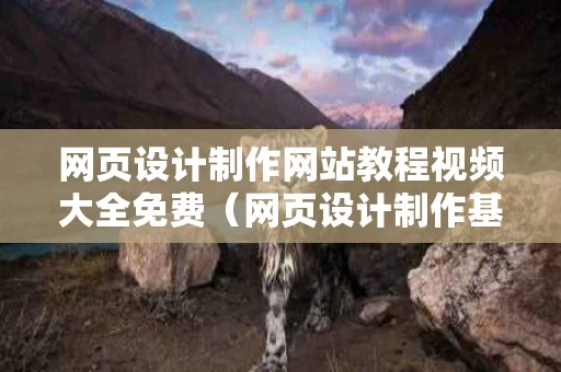 网页设计制作网站教程视频大全免费（网页设计制作基本步骤）