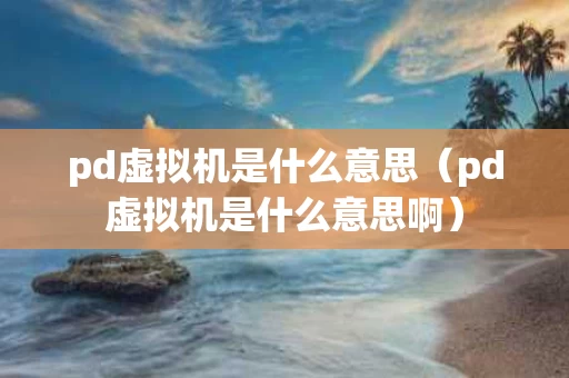 pd虚拟机是什么意思（pd虚拟机是什么意思啊）