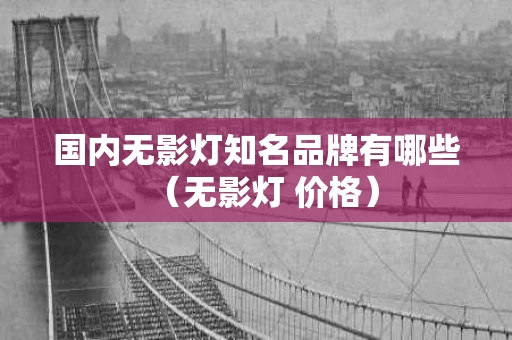 国内无影灯知名品牌有哪些（无影灯 价格）
