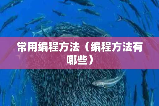 常用编程方法（编程方法有哪些）