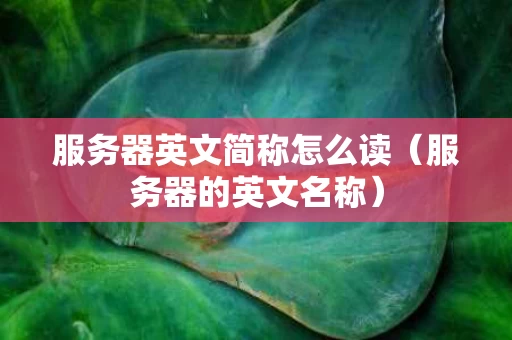 服务器英文简称怎么读（服务器的英文名称）