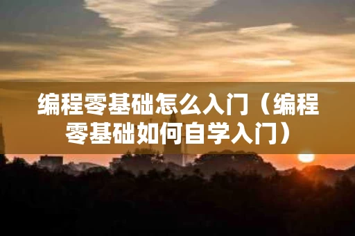 编程零基础怎么入门（编程零基础如何自学入门）