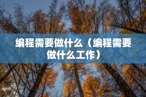 编程需要做什么（编程需要做什么工作）