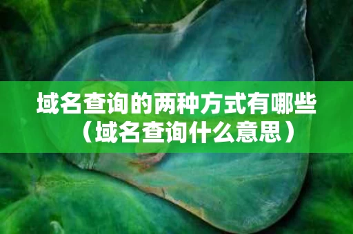域名查询的两种方式有哪些（域名查询什么意思）
