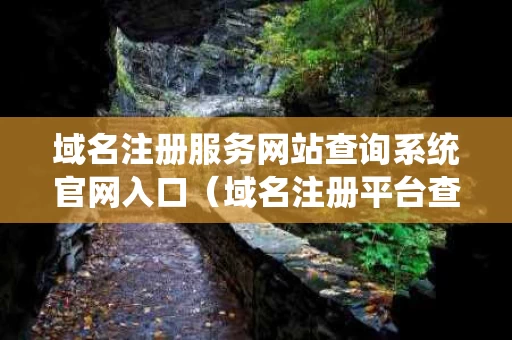 域名注册服务网站查询系统官网入口（域名注册平台查询）