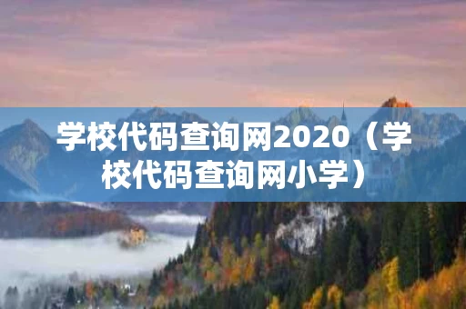 学校代码查询网2020（学校代码查询网小学）