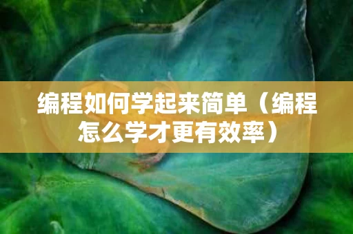 编程如何学起来简单（编程怎么学才更有效率）