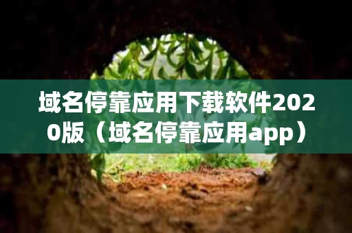 域名停靠应用下载软件2020版（域名停靠应用app）