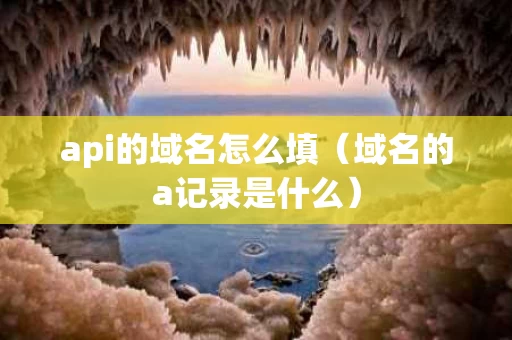api的域名怎么填（域名的a记录是什么）