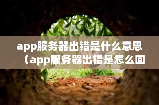 app服务器出错是什么意思（app服务器出错是怎么回事）