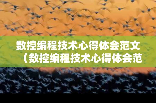 数控编程技术心得体会范文（数控编程技术心得体会范文简短）