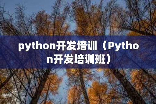 python开发培训（Python开发培训班）