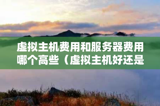 虚拟主机费用和服务器费用哪个高些（虚拟主机好还是服务器好）