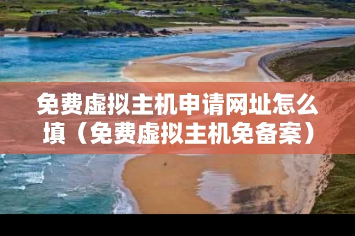 免费虚拟主机申请网址怎么填（免费虚拟主机免备案）