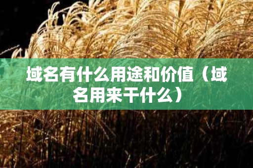 域名有什么用途和价值（域名用来干什么）
