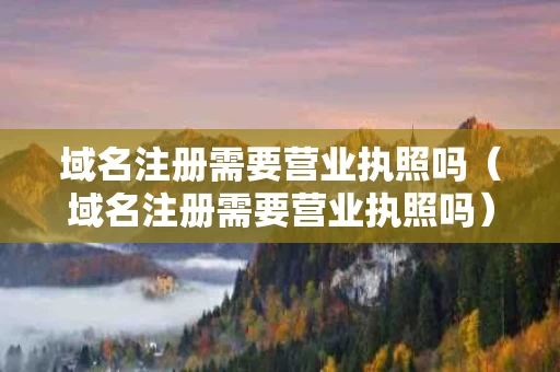 域名注册需要营业执照吗（域名注册需要营业执照吗）